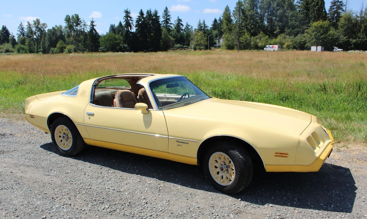 1980 Pontiac Firebird 2nd Gen - Image 12 of 31