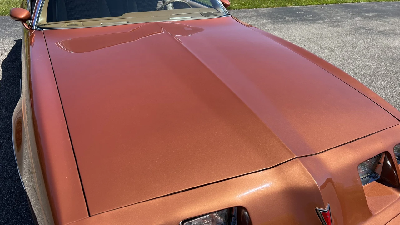 1980 Pontiac Firebird 2nd Gen - Image 30 of 31