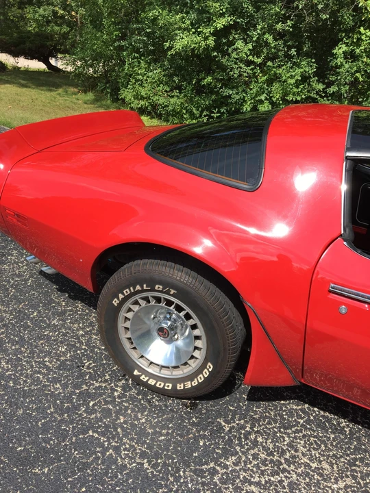 1981 Pontiac Firebird Trans Am 2nd Gen - Image 24 of 31