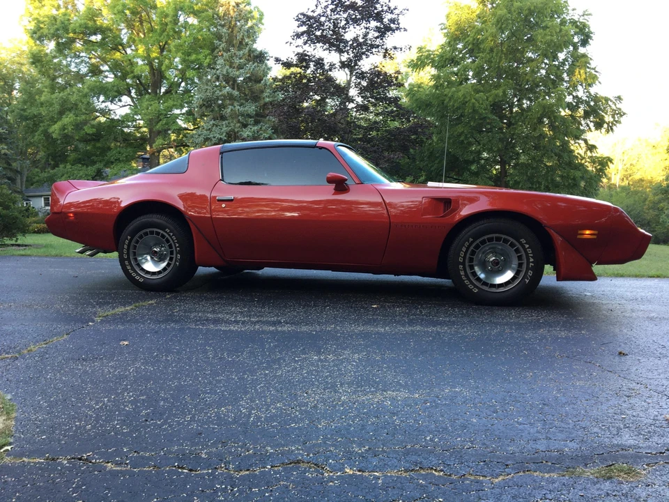 1981 Pontiac Firebird Trans Am 2nd Gen - Image 10 of 31