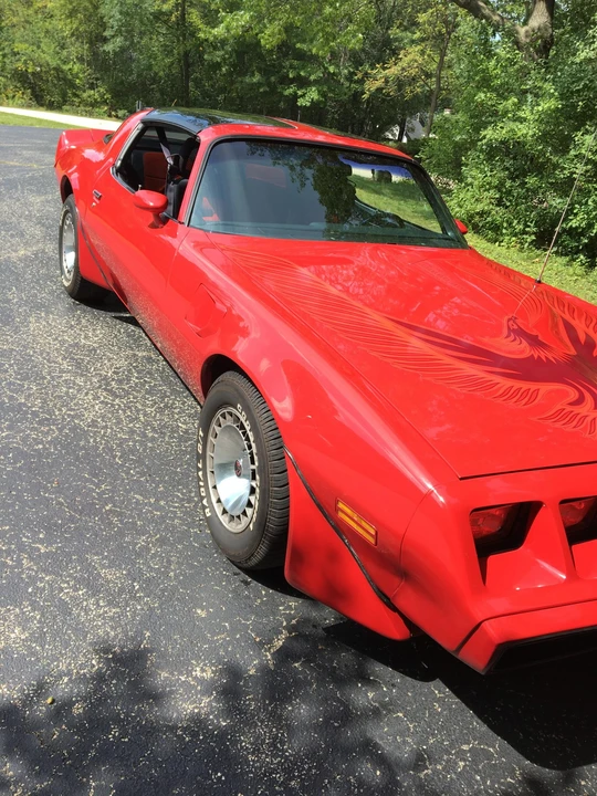 1981 Pontiac Firebird Trans Am 2nd Gen - Image 21 of 31