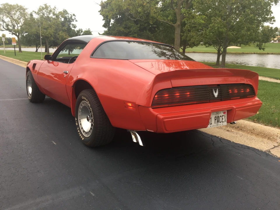 1981 Pontiac Firebird Trans Am 2nd Gen - Image 5 of 31