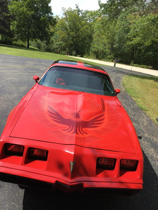 1981 Pontiac Firebird Trans Am 2nd Gen - Image 15 of 31