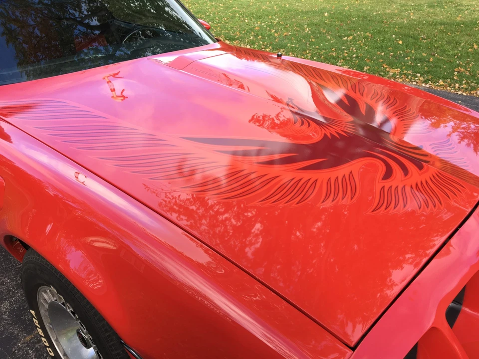 1981 Pontiac Firebird Trans Am 2nd Gen - Image 31 of 31