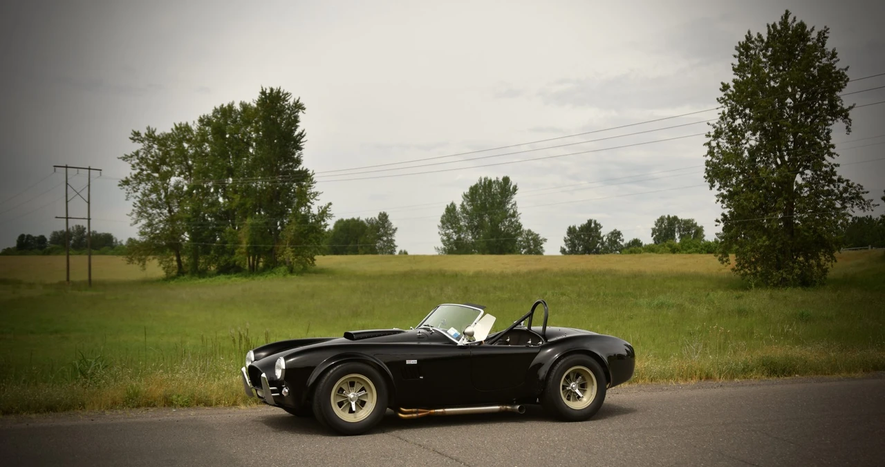 Shelby Cobra Replica - Image 3 of 31
