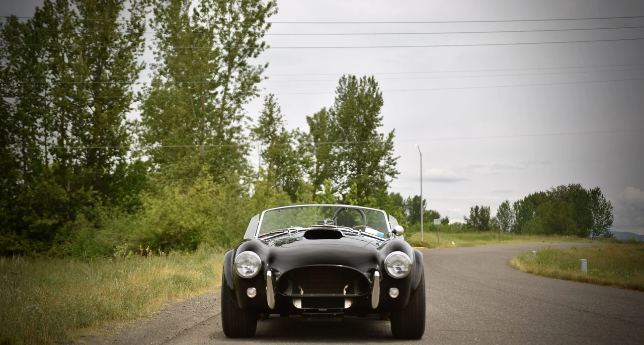 Shelby Cobra Replica - Image 21 of 31