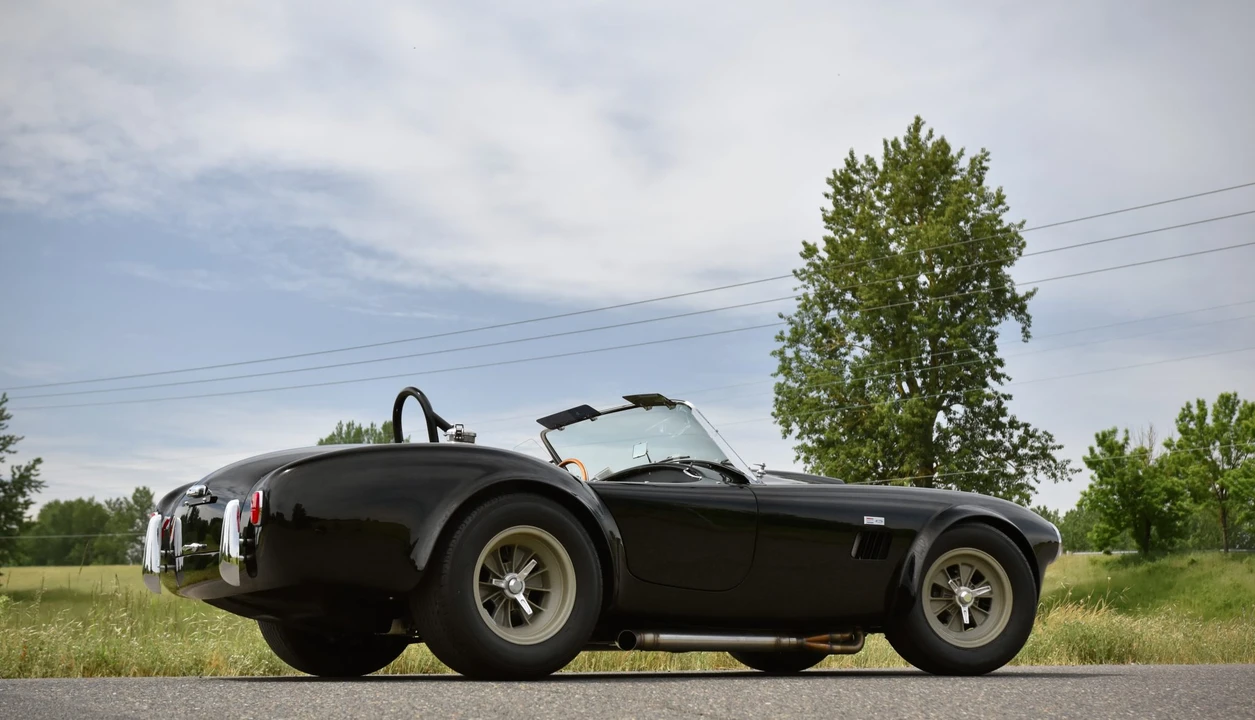 Shelby Cobra Replica - Image 29 of 31