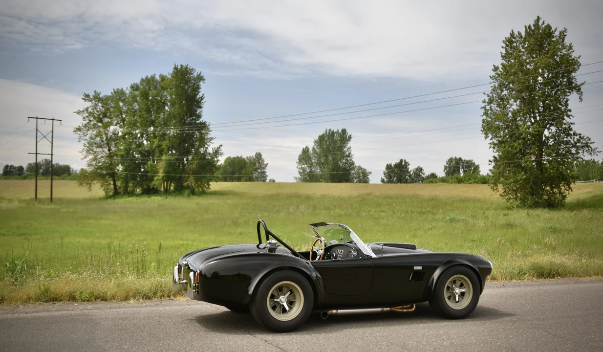 Shelby Cobra Replica - Image 30 of 31