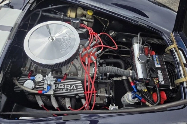 Shelby Cobra Replica - Image 6 of 8