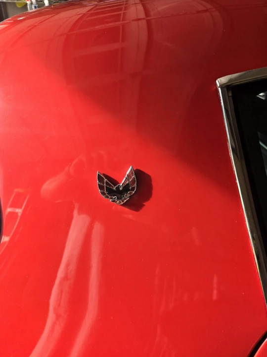 1978 Pontiac Firebird Trans Am 2nd Gen - Image 31 of 31