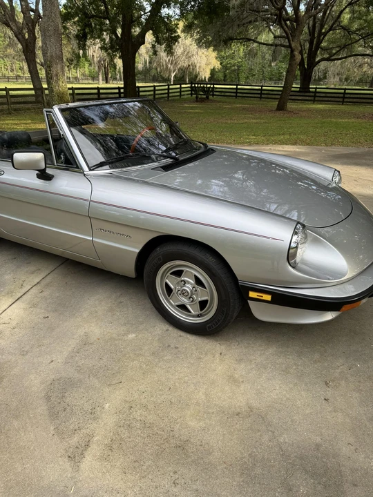 1984 Alfa Romeo Series 3 - Image 20 of 31