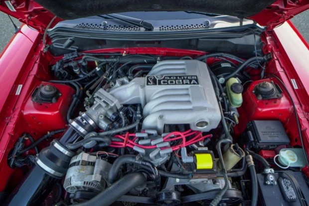 1994 Ford SN95 Mustang Cobra - Image 6 of 8