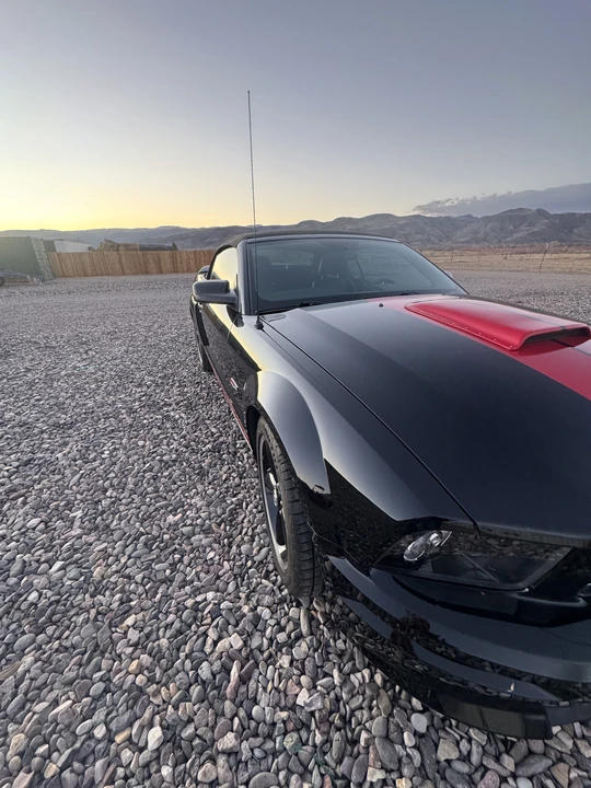 2008 Ford S197 Mustang - Image 17 of 31