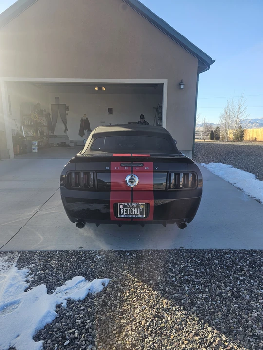 2008 Ford S197 Mustang - Image 12 of 31