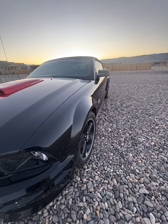 2008 Ford S197 Mustang - Image 20 of 31