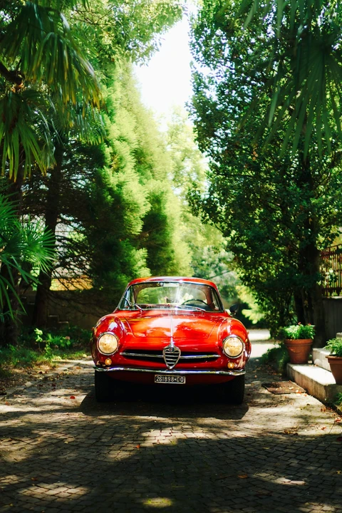 1963 Alfa Romeo Giulietta Sprint Speciale - Image 13 of 31