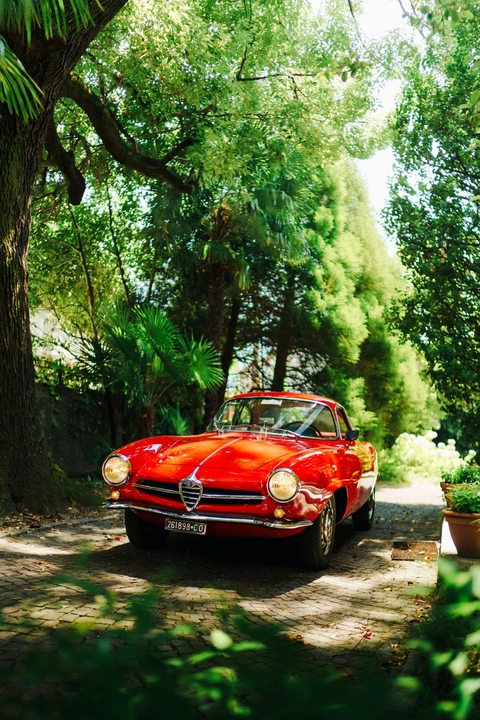 1963 Alfa Romeo Giulietta Sprint Speciale - Image 12 of 31