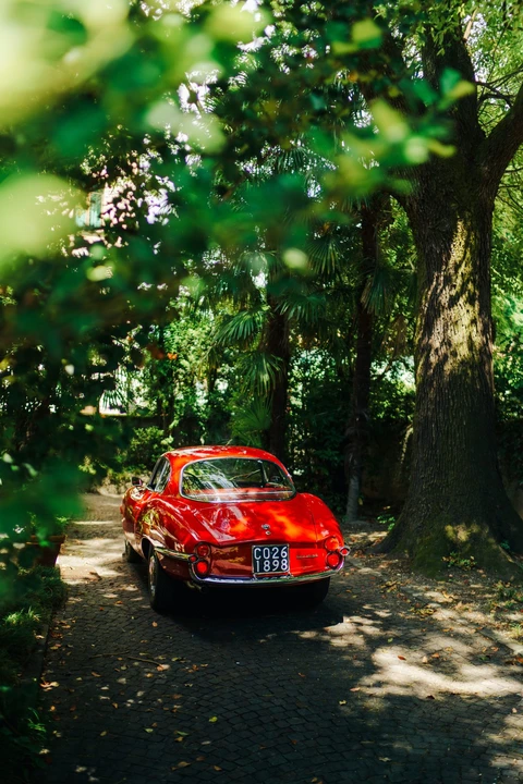 1963 Alfa Romeo Giulietta Sprint Speciale - Image 15 of 31
