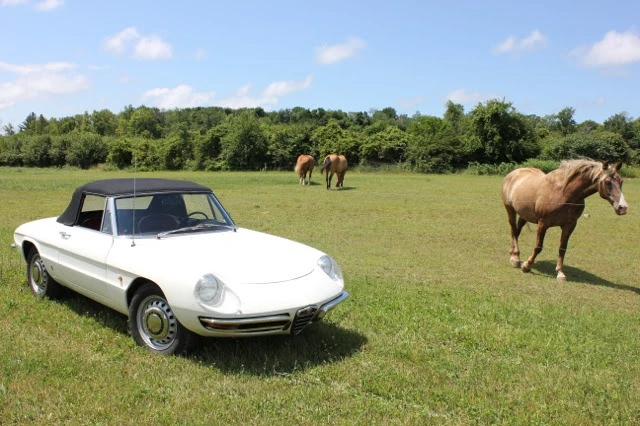 1967 Alfa Romeo Series 1 - Image 29 of 31