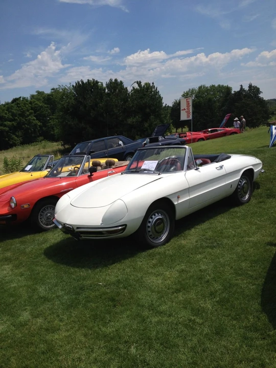 1967 Alfa Romeo Series 1 - Image 30 of 31
