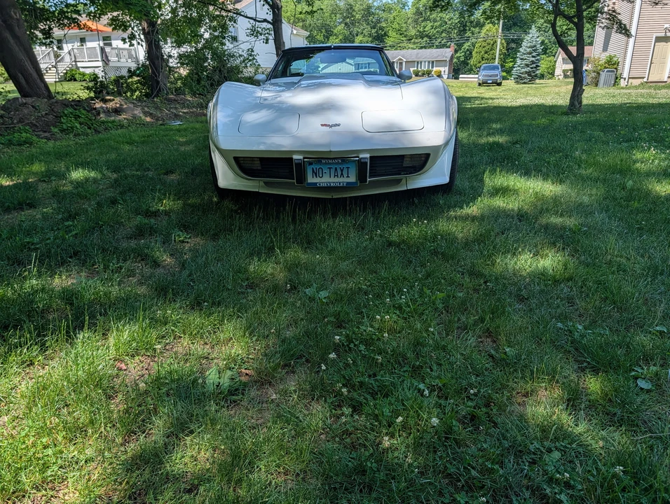 1979 Chevrolet Corvette C3 - Image 2 of 31