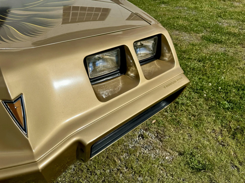 1979 Pontiac Firebird Trans Am 2nd Gen - Image 30 of 31