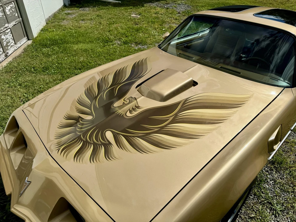 1979 Pontiac Firebird Trans Am 2nd Gen - Image 31 of 31