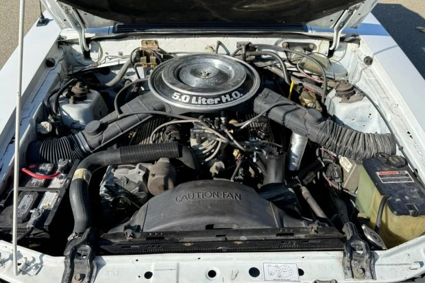 1984 Ford Mustang GT 3rd Gen - Image 6 of 8