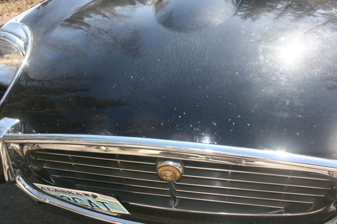 1972 Jaguar E-Type Series 3 V12 - Image 29 of 31