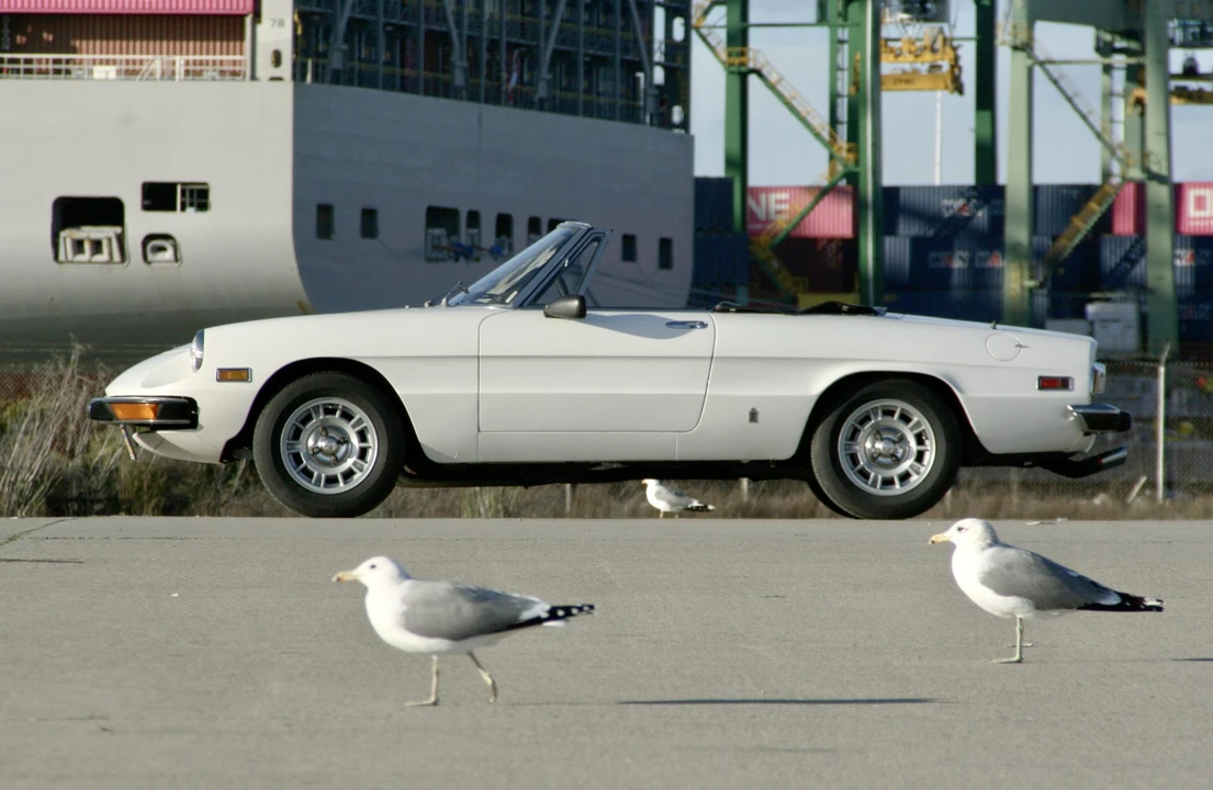 1974 Alfa Romeo Series 2 - Image 7 of 31