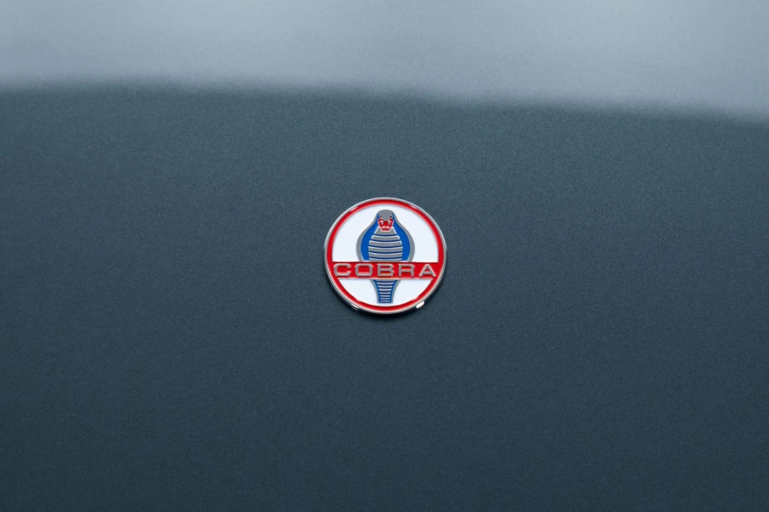 Shelby Cobra Replica - Image 28 of 31