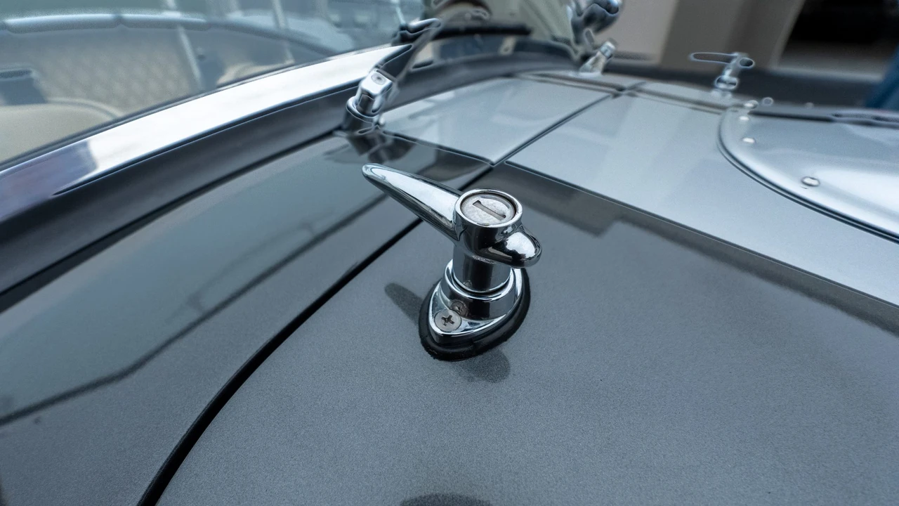 Shelby Cobra Replica - Image 24 of 31