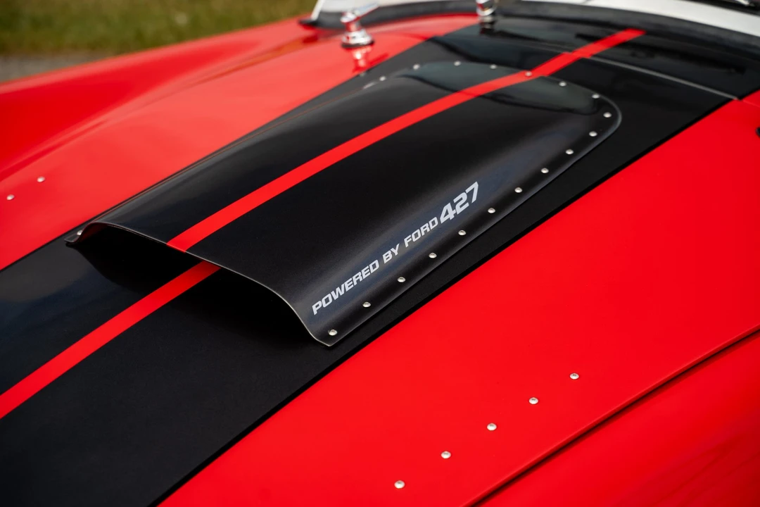 Shelby Cobra Replica - Image 25 of 31