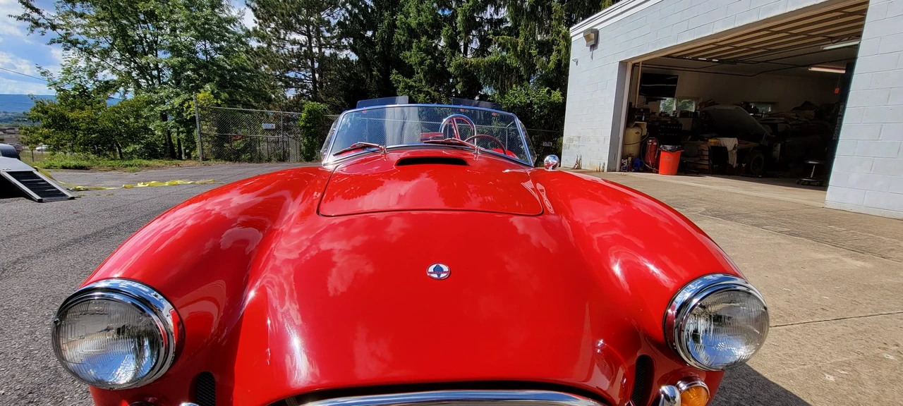 Shelby Cobra Replica - Image 28 of 31