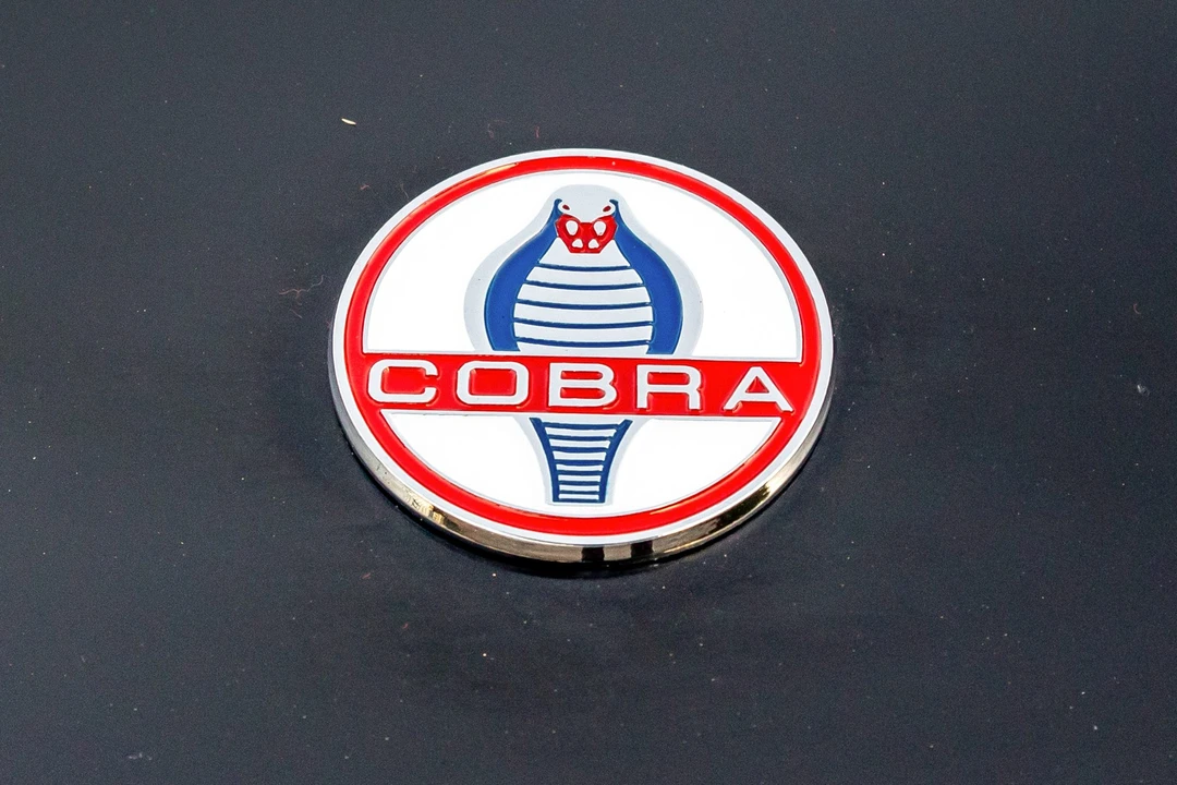Shelby Cobra Replica - Image 29 of 31