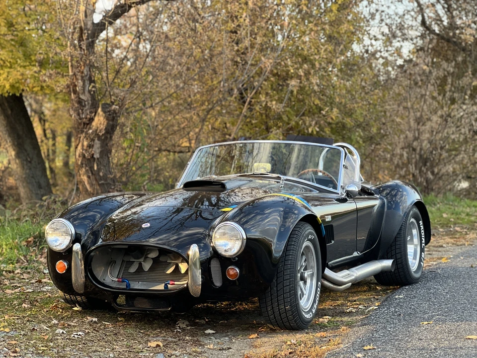 Shelby Cobra Replica - Image 29 of 31