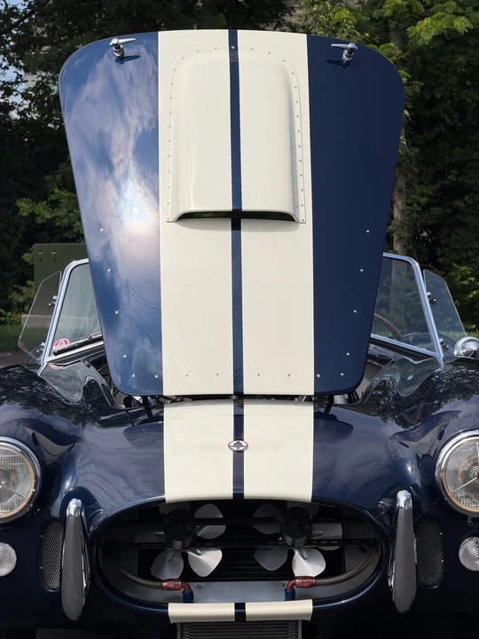 Shelby Cobra Replica - Image 31 of 31