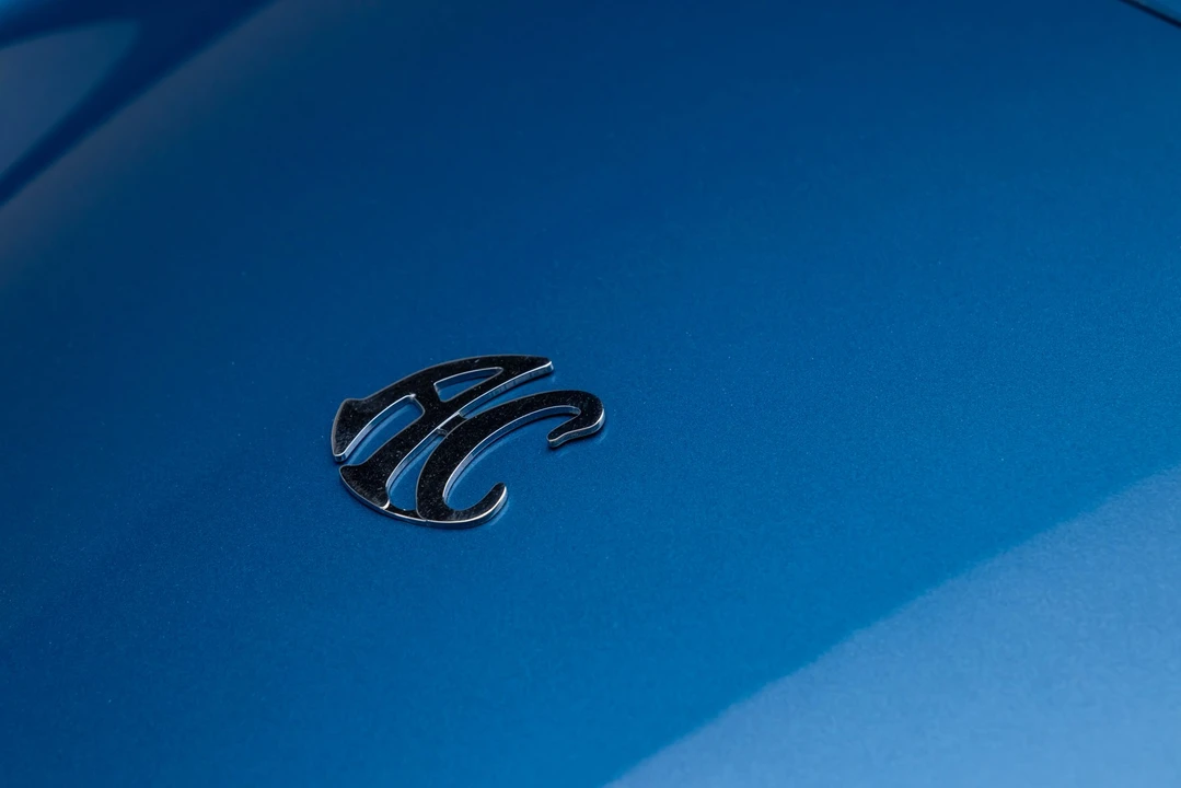 Shelby Cobra Replica - Image 27 of 31