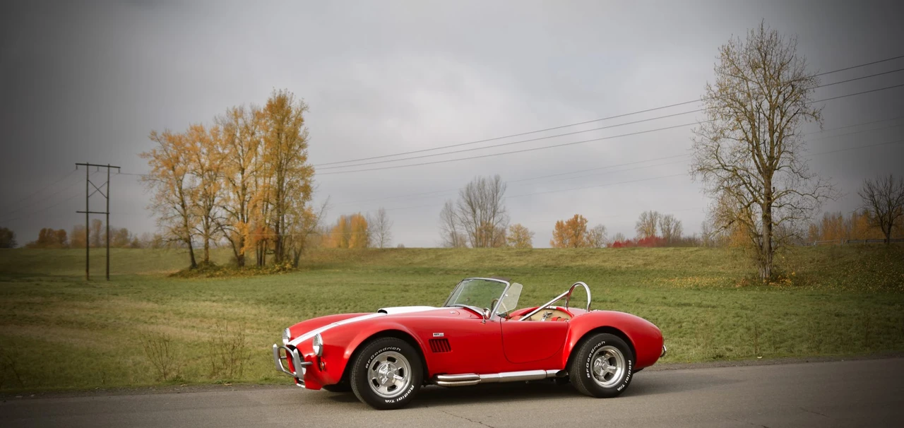 Shelby Cobra Replica - Image 19 of 31