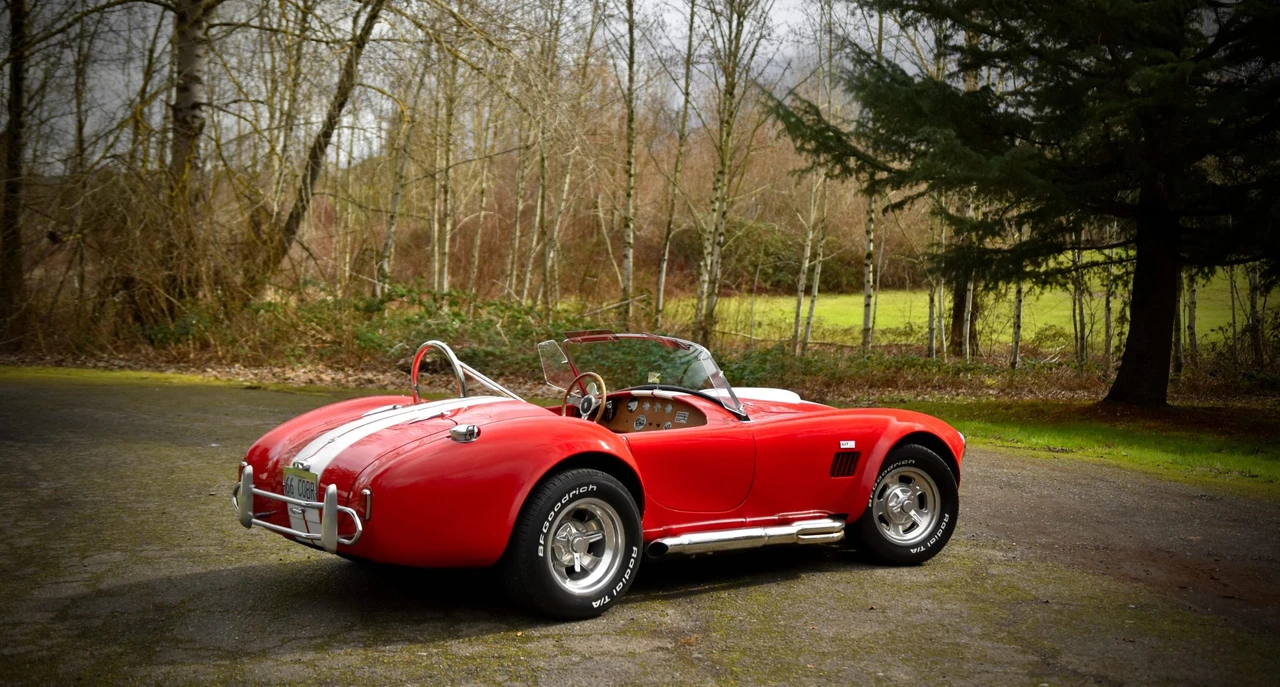 Shelby Cobra Replica - Image 20 of 31