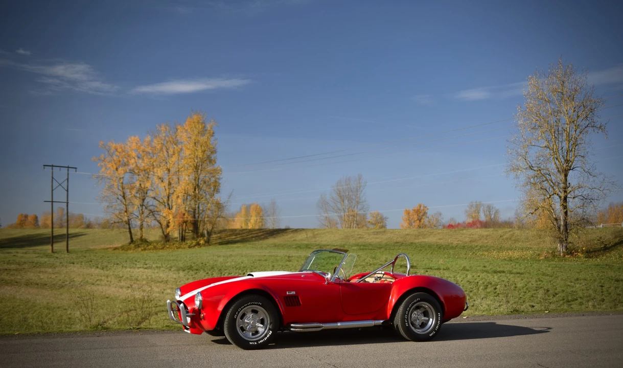 Shelby Cobra Replica - Image 18 of 31
