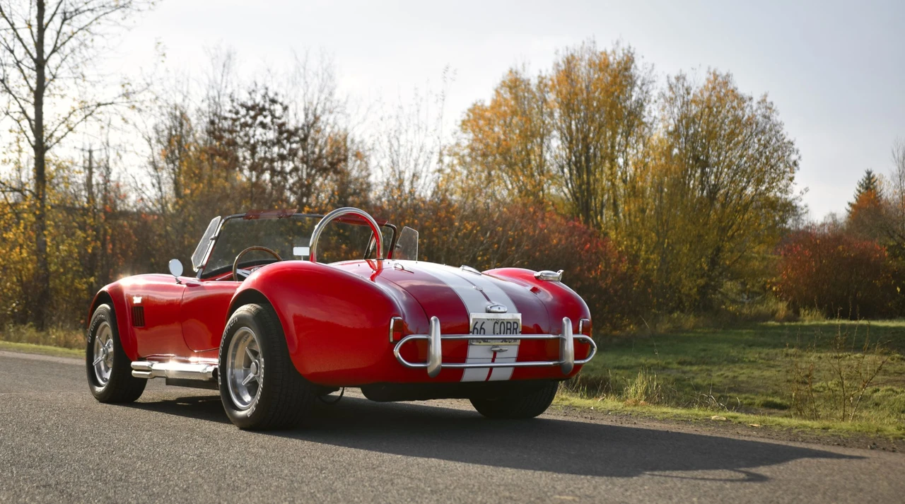 Shelby Cobra Replica - Image 28 of 31
