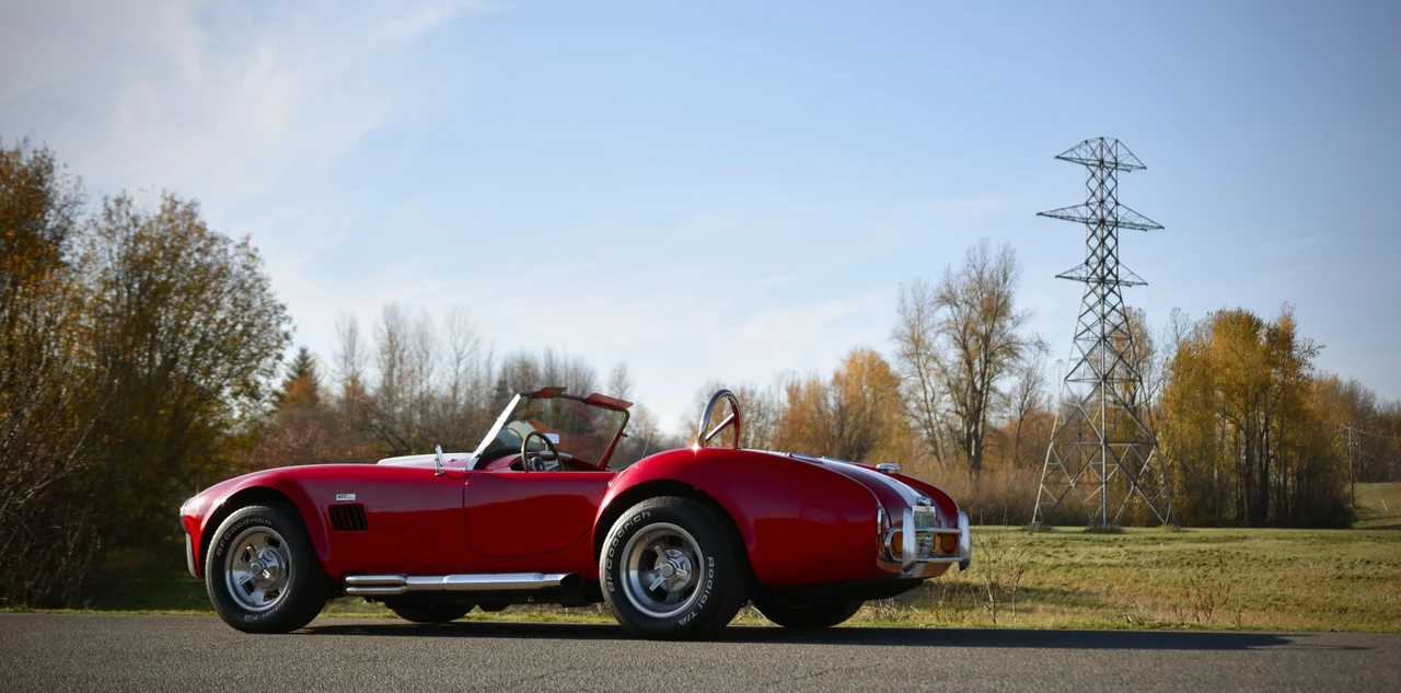 Shelby Cobra Replica - Image 24 of 31