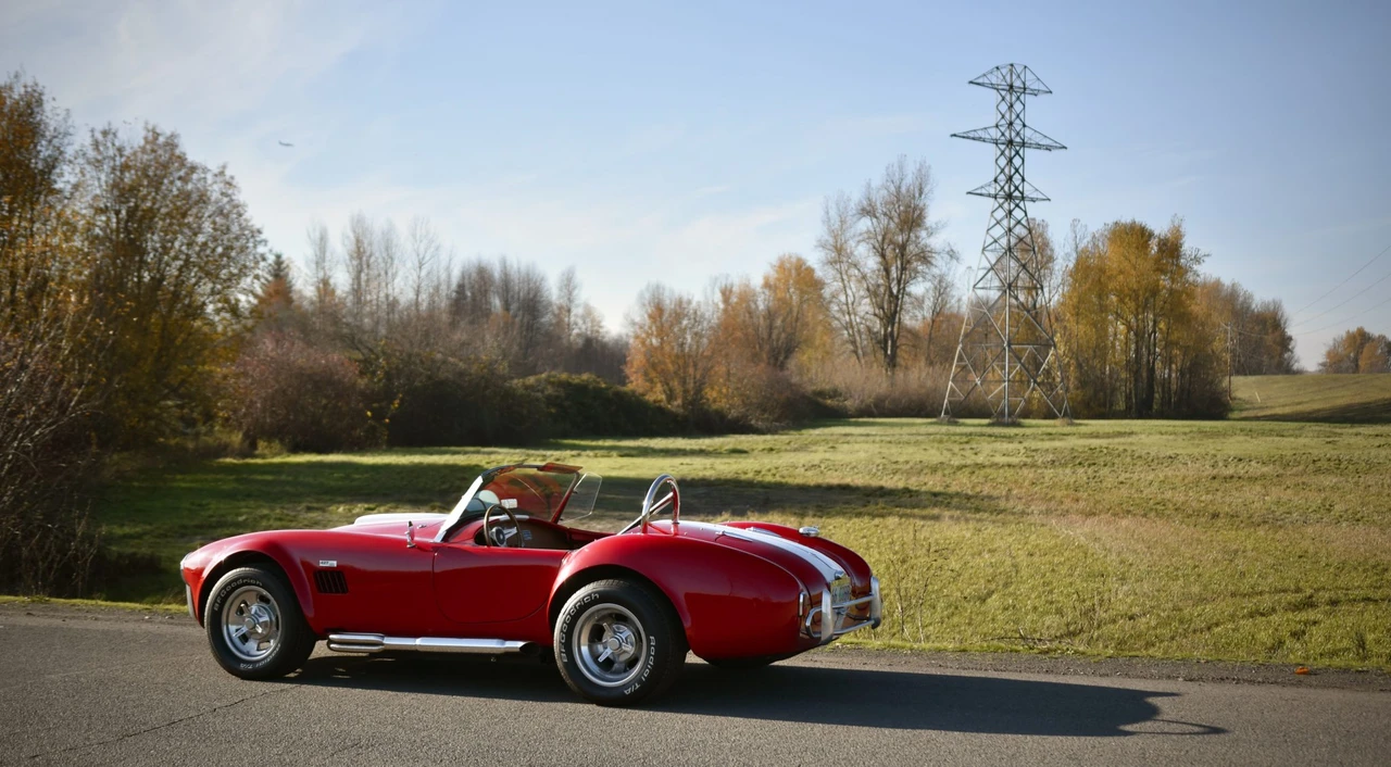 Shelby Cobra Replica - Image 23 of 31