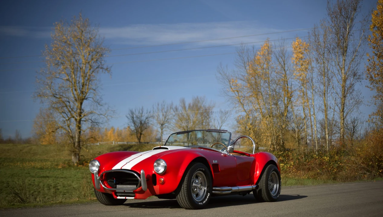 Shelby Cobra Replica - Image 9 of 31