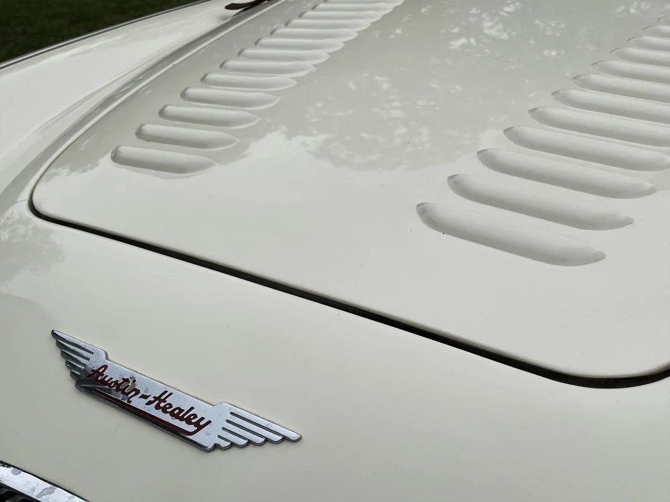 1956 Austin-Healey 100 - Image 20 of 31
