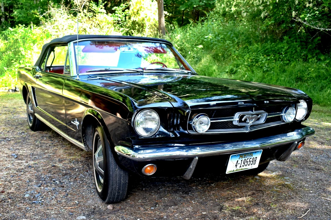 1965 Ford Mustang 1st Gen (1964.5-1966) - Image 5 of 31