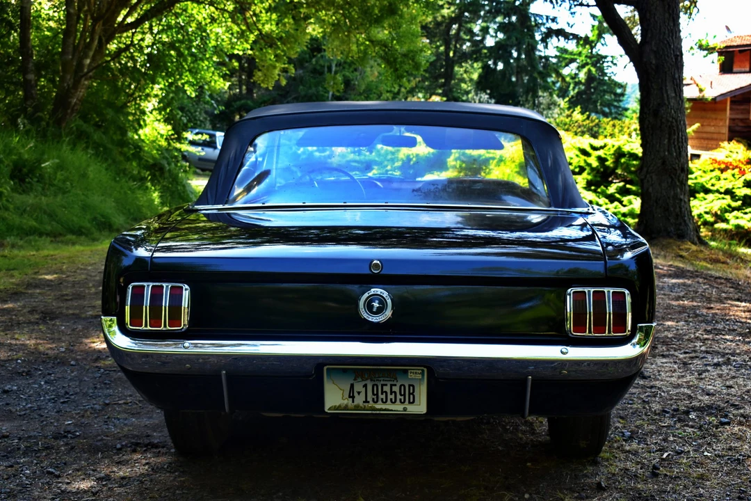 1965 Ford Mustang 1st Gen (1964.5-1966) - Image 3 of 31