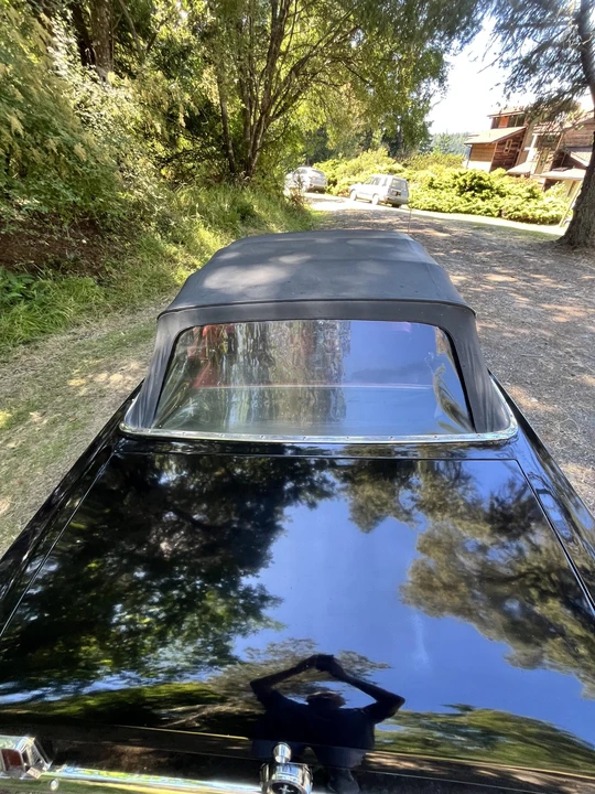 1965 Ford Mustang 1st Gen (1964.5-1966) - Image 25 of 31
