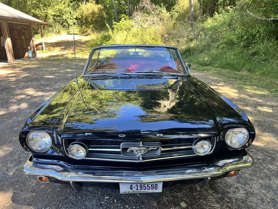 1965 Ford Mustang 1st Gen (1964.5-1966) - Image 15 of 31